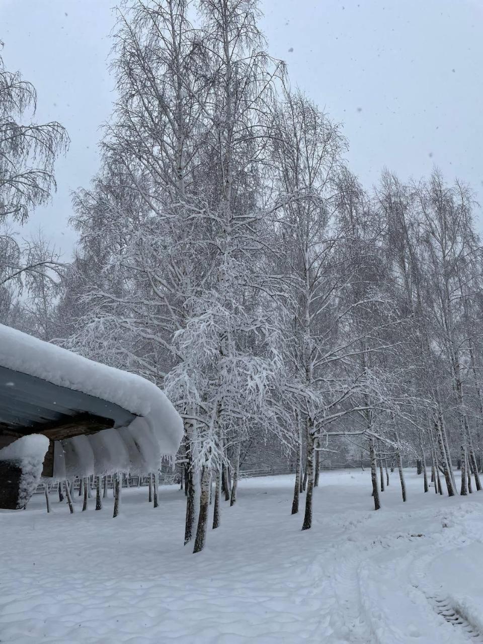 Садиба Бабина Лоза Lisove  Exterior photo